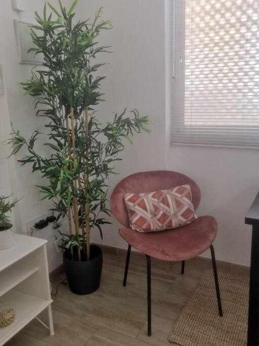 Isg Apartments Encantador Estudio En Alameda De Hercules إشبيلية المظهر الخارجي الصورة
